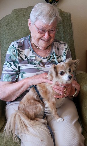 Die Therapiehunde sorgen im Seniorenstift Elim jedes Mal aufs Neue für fröhliche Gesichter. 